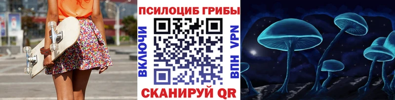 магазин продажи наркотиков  Зеленоградск  МЕГА зеркало  Псилоцибиновые грибы MAGIC MUSHROOMS 